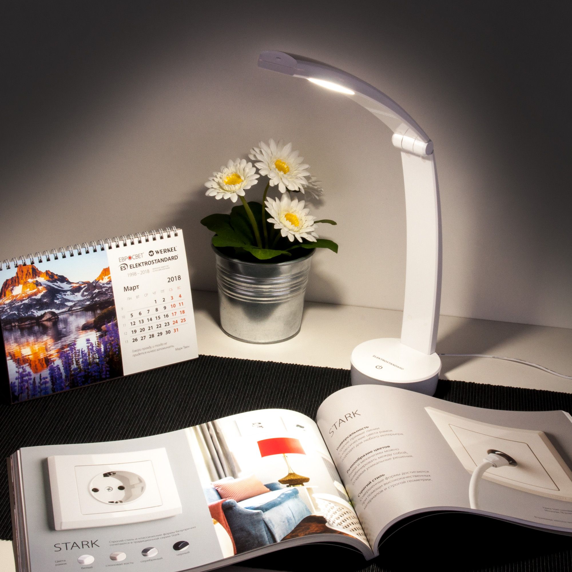 Настольный аккумуляторный светодиодный светильник Elektrostandard Rizar Rizar белый (TL90500). Фото 2