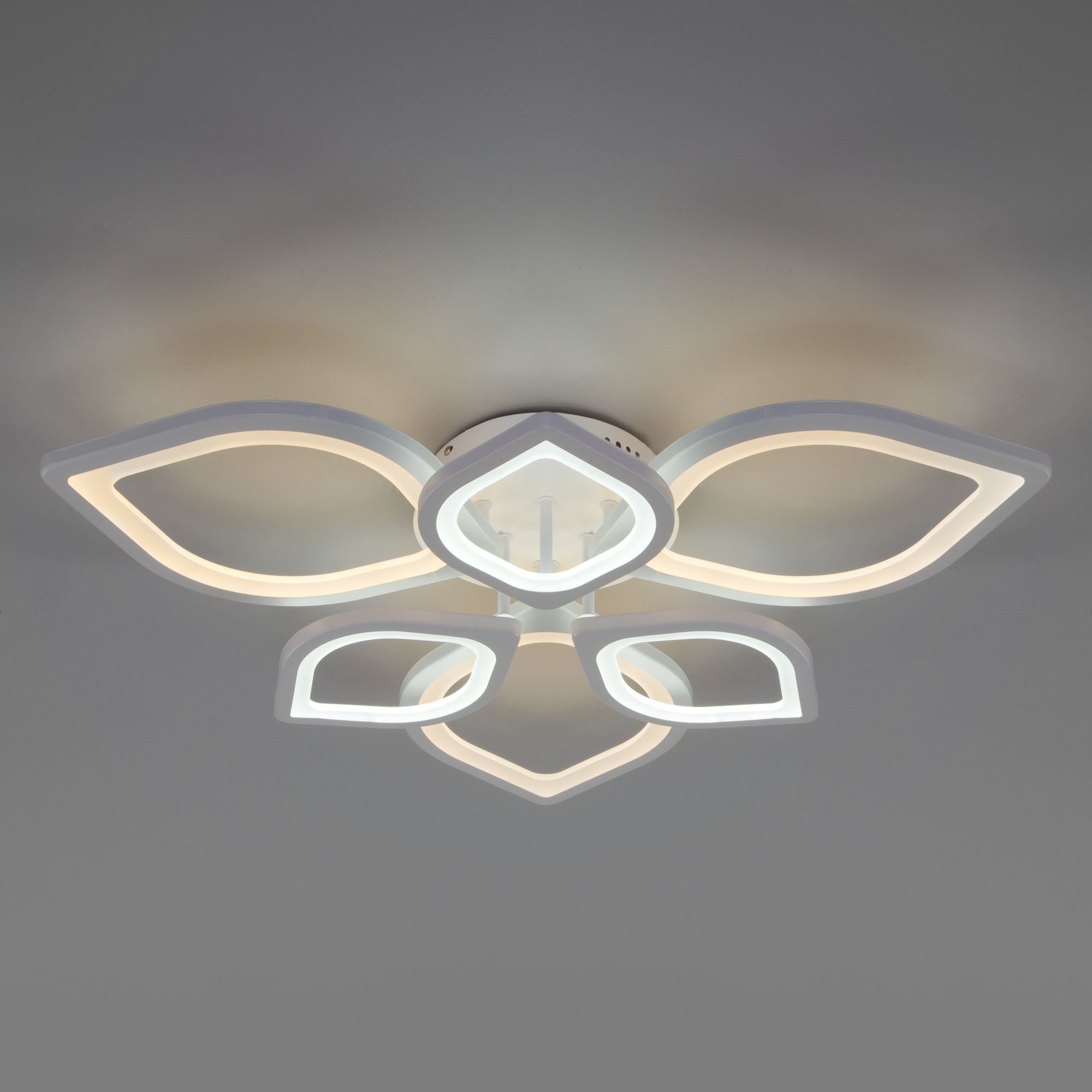 Потолочный светильник с пультом Eurosvet Garden 90228/6 белый. Фото 3