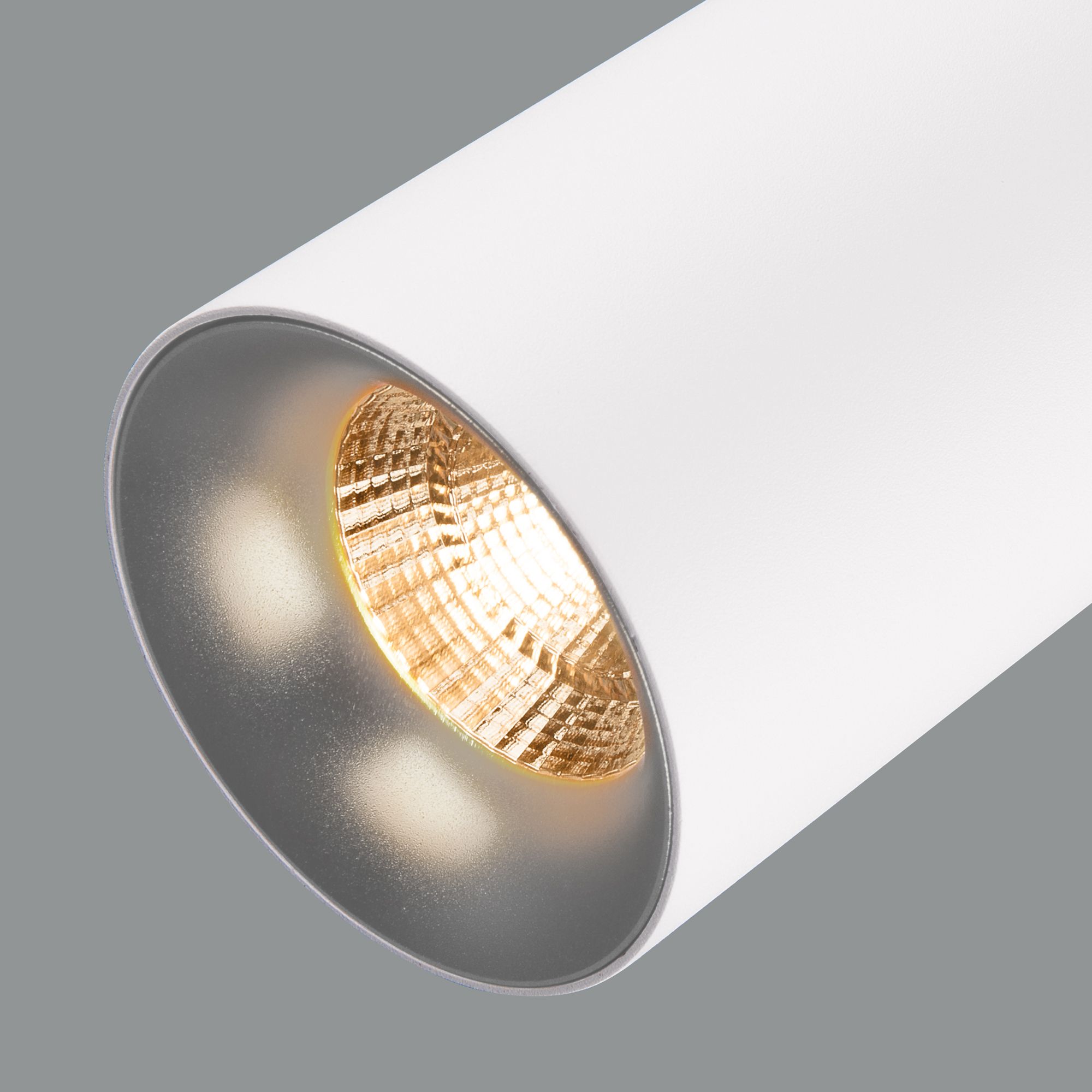 Накладной потолочный  светодиодный светильник Elektrostandard DLS021 9+4W 4200К DLS021 9+4W 4200К белый матовый/серебро. Фото 4