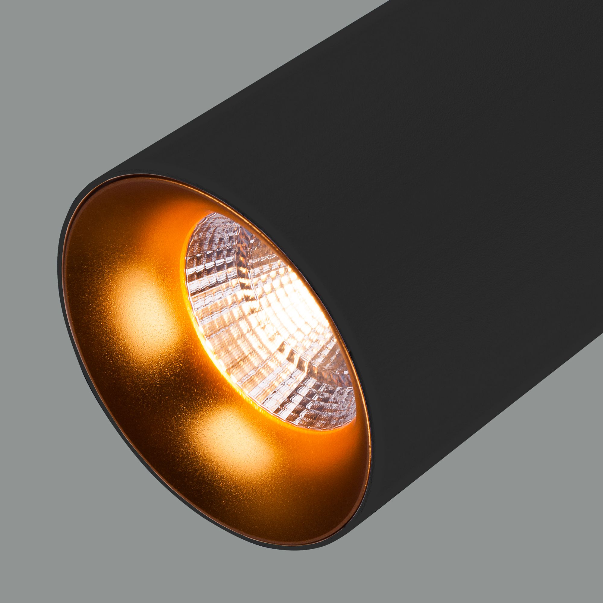 Накладной потолочный  светодиодный светильник Elektrostandard DLS021 9+4W 4200К DLS021 9+4W 4200К черный матовый/золото. Фото 3