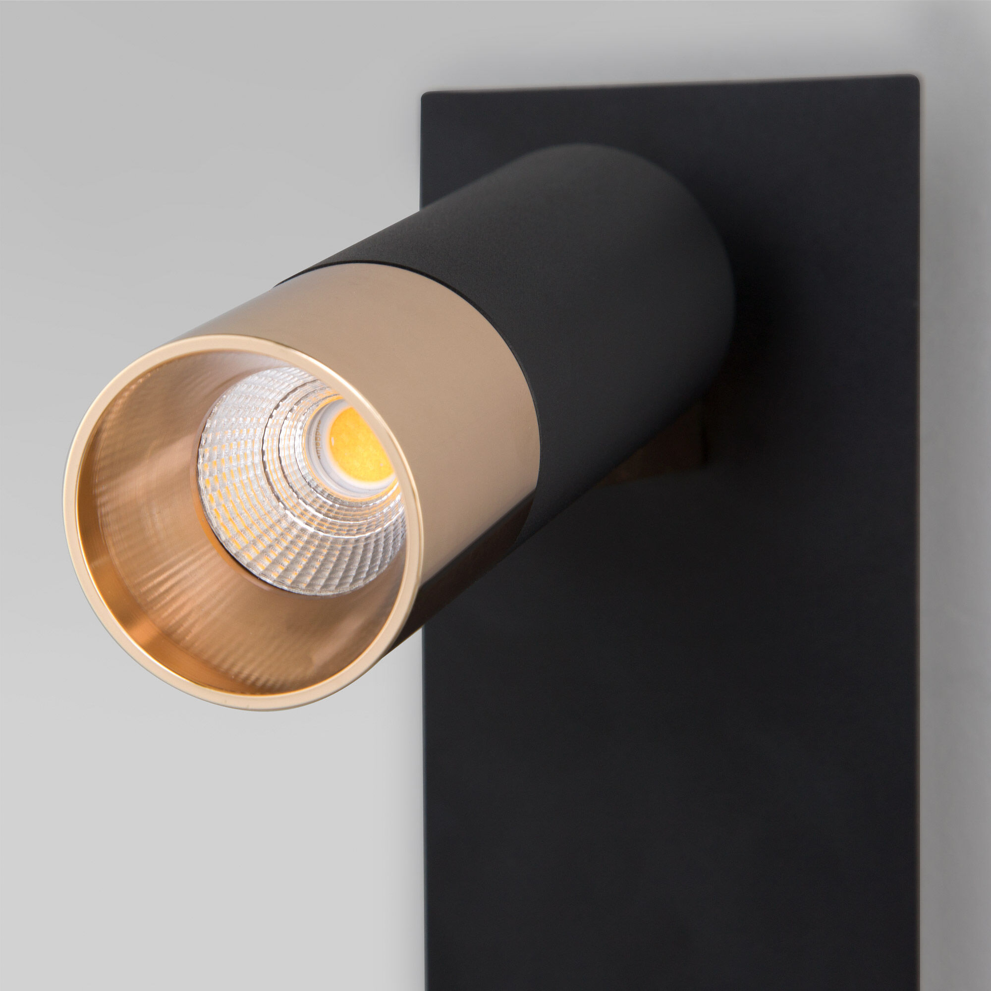 Настенный светодиодный светильник в стиле лофт Eurosvet Cast 20142/1 LED черный/золото. Фото 2