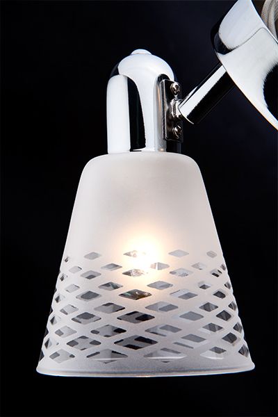 Настенный светильник с плафонами Eurosvet Organic 20053/1 хром. Фото 2