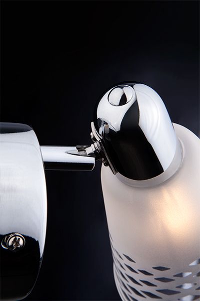 Настенный светильник с плафонами Eurosvet Organic 20053/1 хром. Фото 3