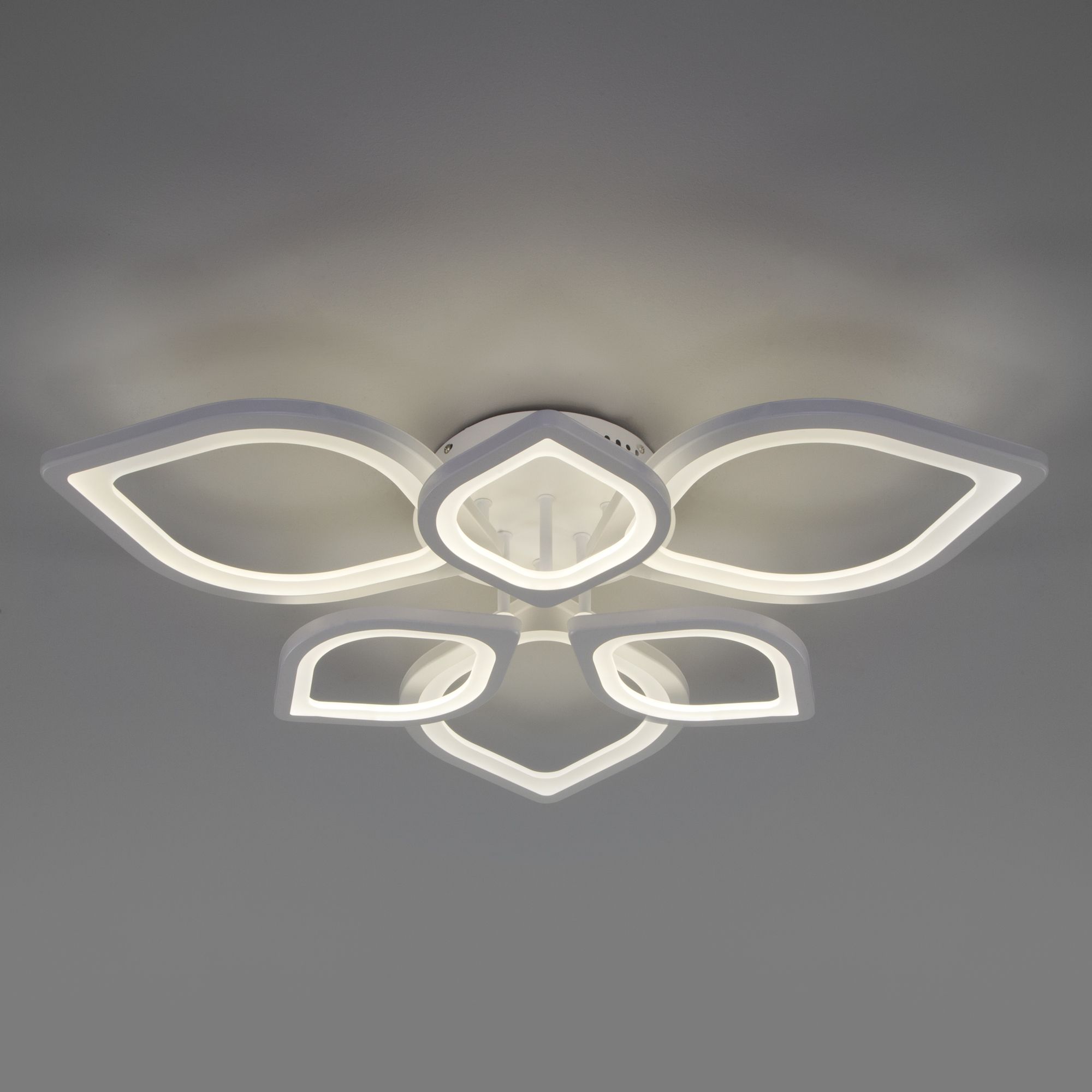 Потолочный светильник с пультом Eurosvet Garden 90228/6 белый. Фото 2