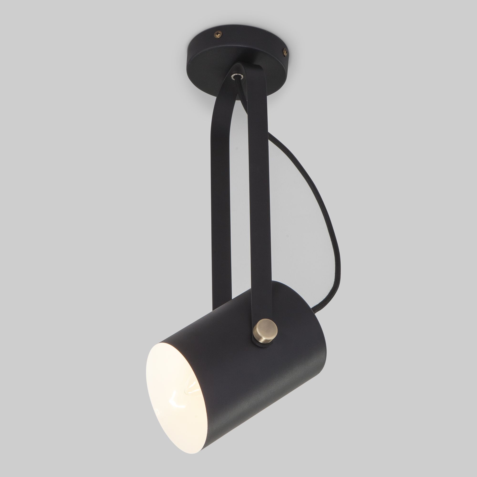 Настенный светильник с плафоном Eurosvet Italio 20092/1 черный. Фото 1