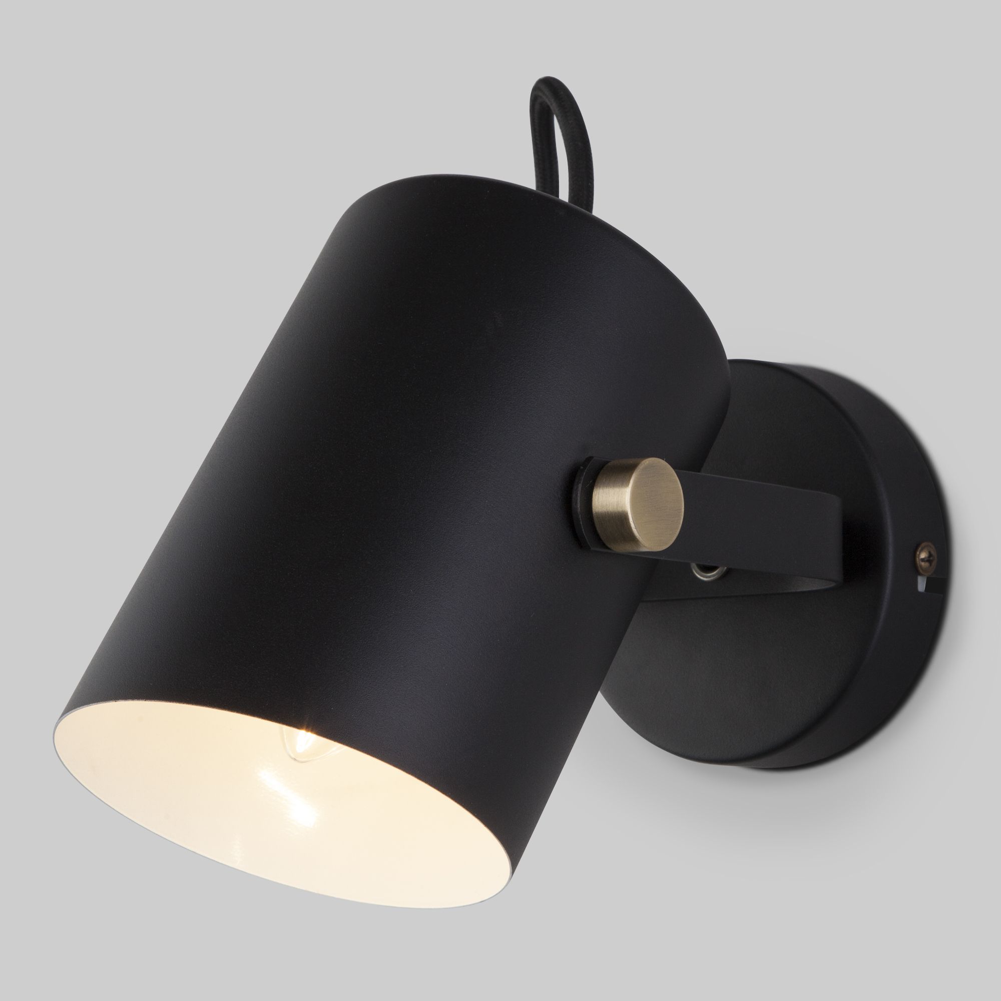 Настенный светильник с плафоном Eurosvet Italio 20093/1 черный. Фото 1