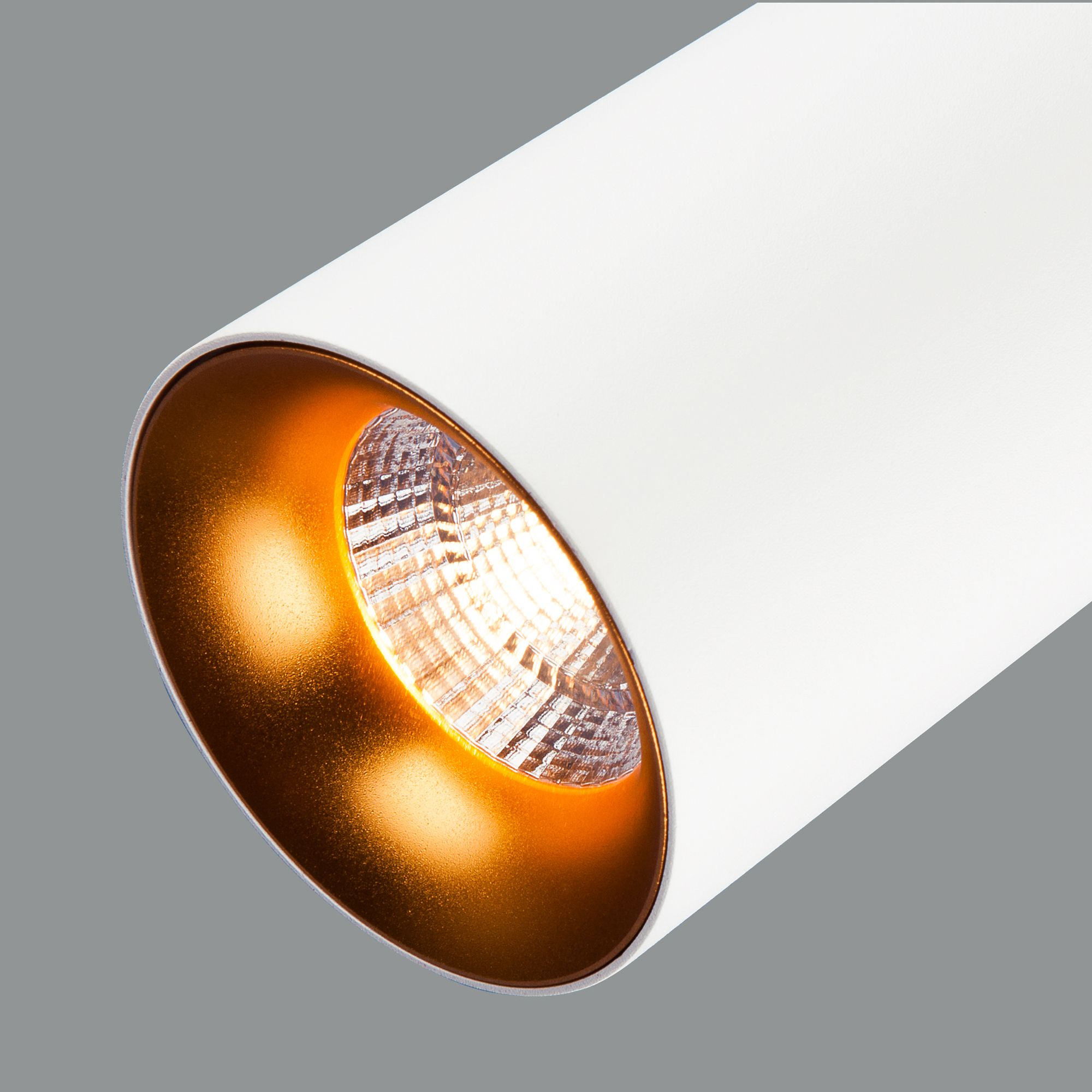 Накладной потолочный  светодиодный светильник Elektrostandard DLS021 9+4W 4200К DLS021 9+4W 4200К белый матовый/золото. Фото 4