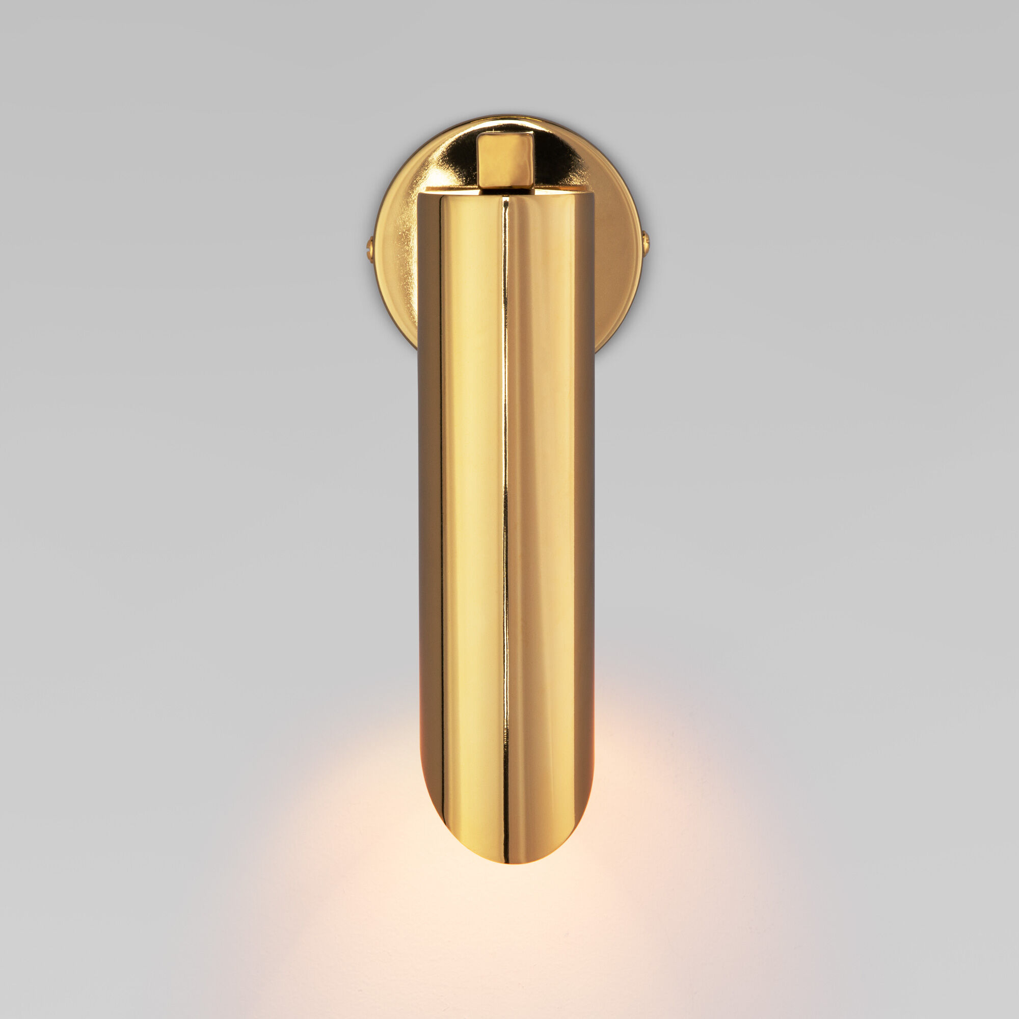 Настенный светильник с металлическим плафоном Eurosvet Wing 40037/1 золото. Фото 2
