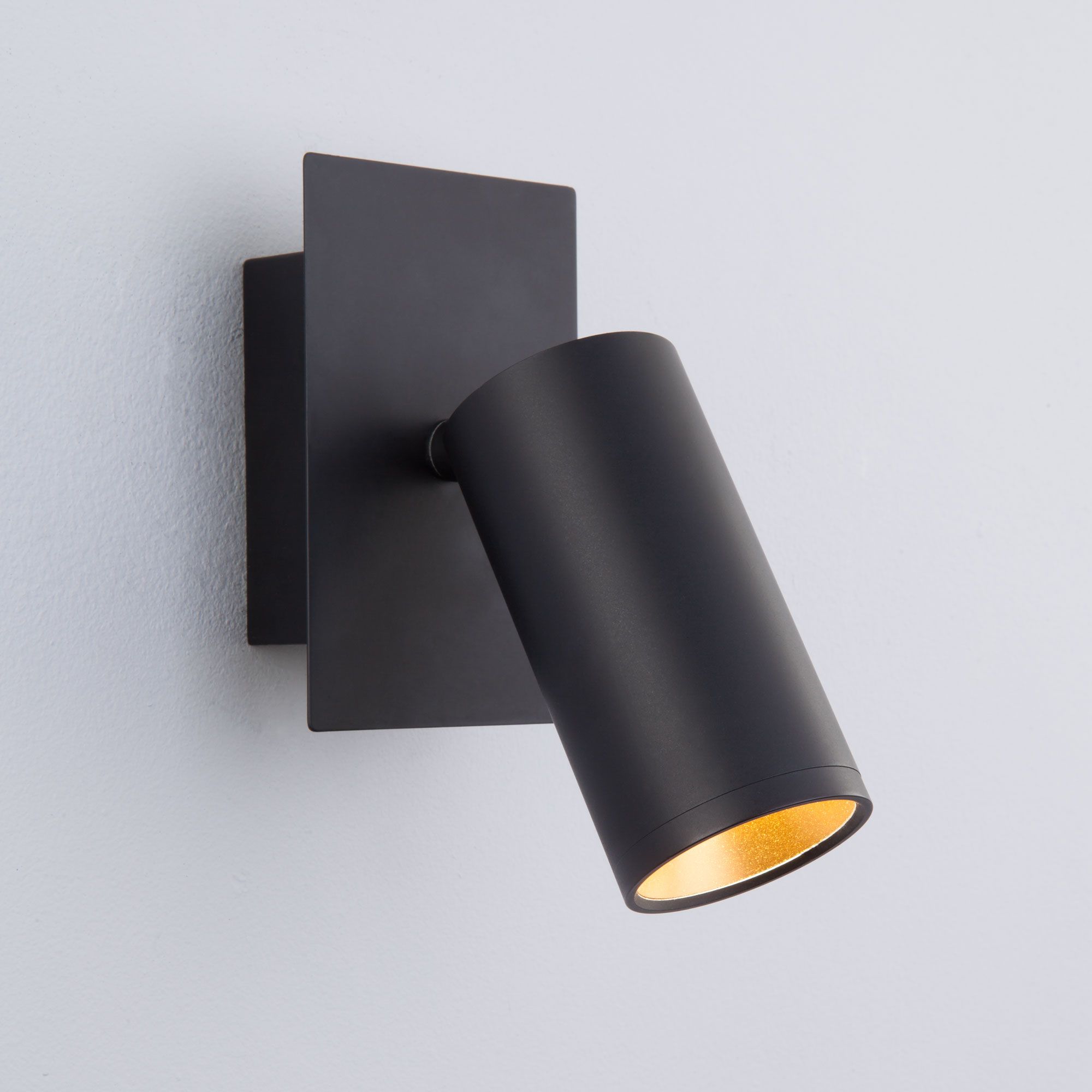 Настенный светодиодный светильник в стиле минимализм Eurosvet Fleur 20066/1 LED черный / золото. Фото 1