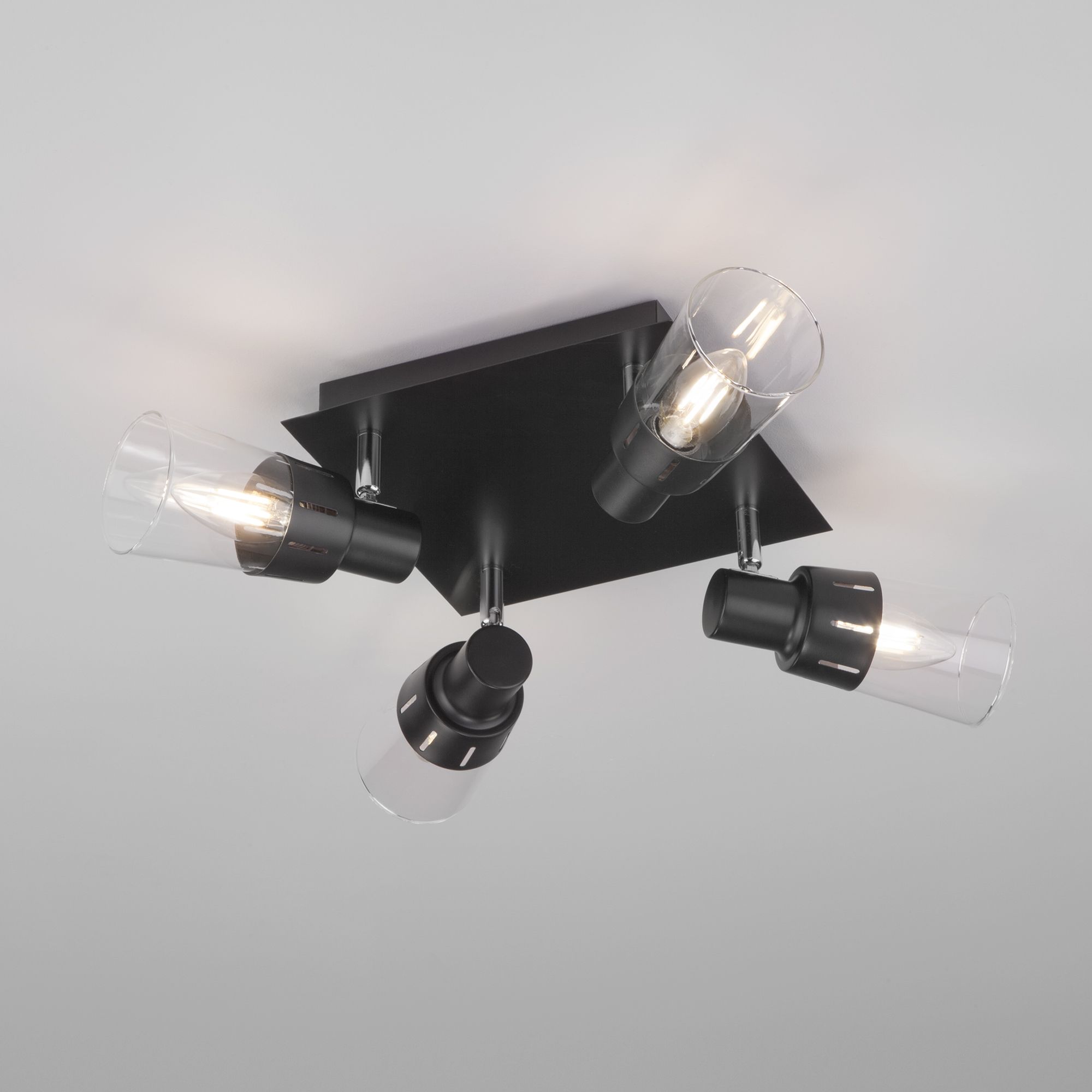 Потолочный светильник с плафонами Eurosvet Potter 20081/4 черный. Фото 1