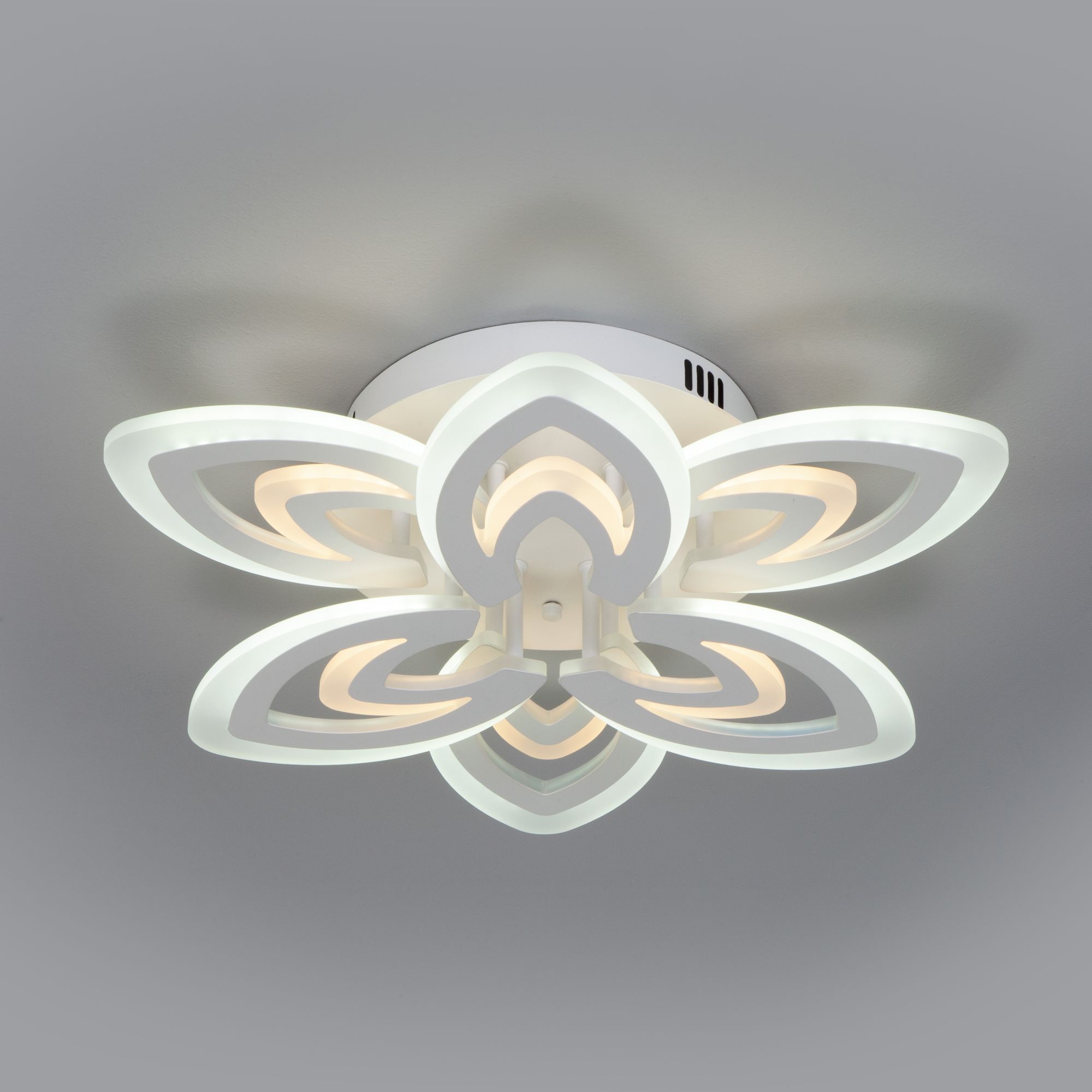 Потолочный светильник с пультом Eurosvet Floritta 90227/6 белый. Фото 1