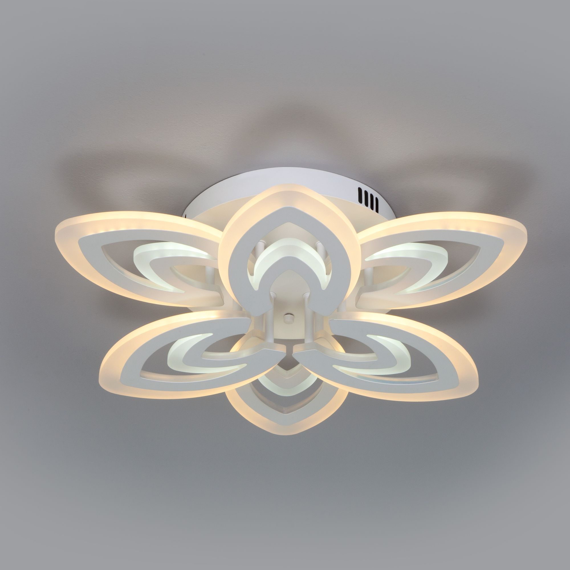 Потолочный светильник с пультом Eurosvet Floritta 90227/6 белый. Фото 3