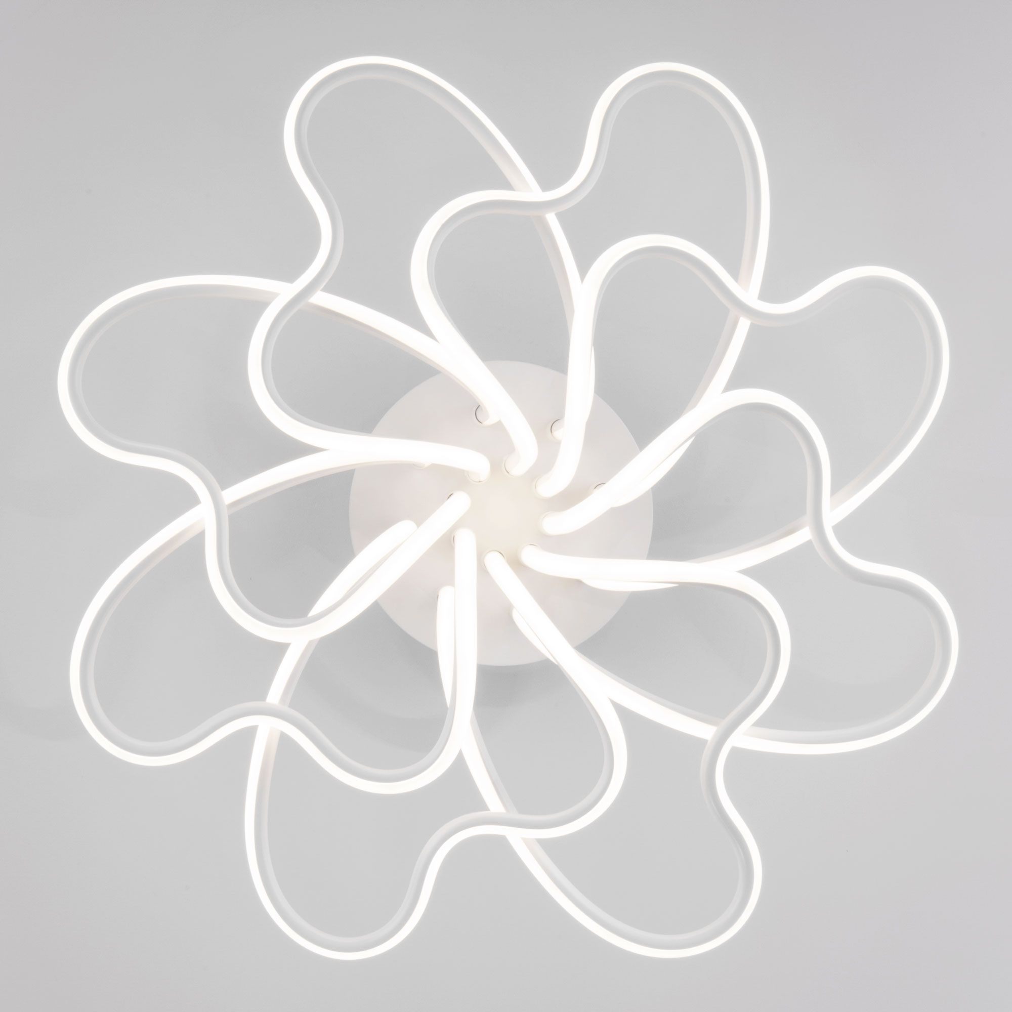 Потолочный светодиодный светильник с регулировкой яркости и цветовой температуры Eurosvet Floret 90135/8 белый. Фото 3