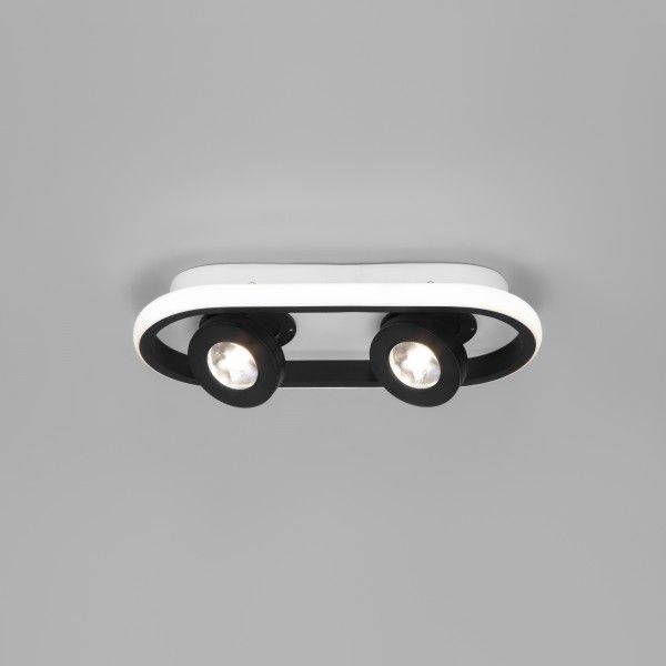 Потолочный светодиодный светильник в стиле лофт 20123/2 LED белый / черный