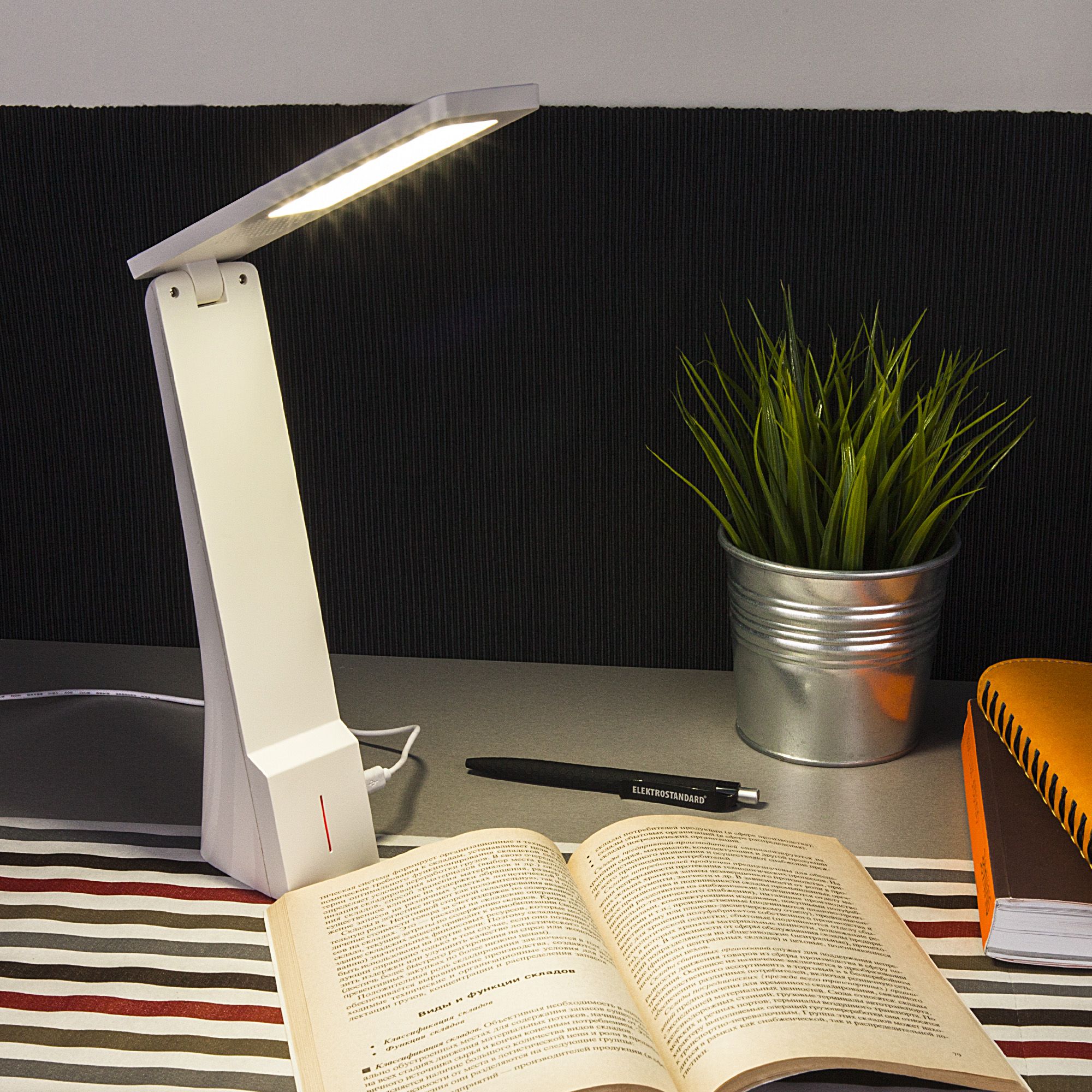 Светодиодная настольная лампа Elektrostandard Desk Desk белый/серебряный (TL90450). Фото 2