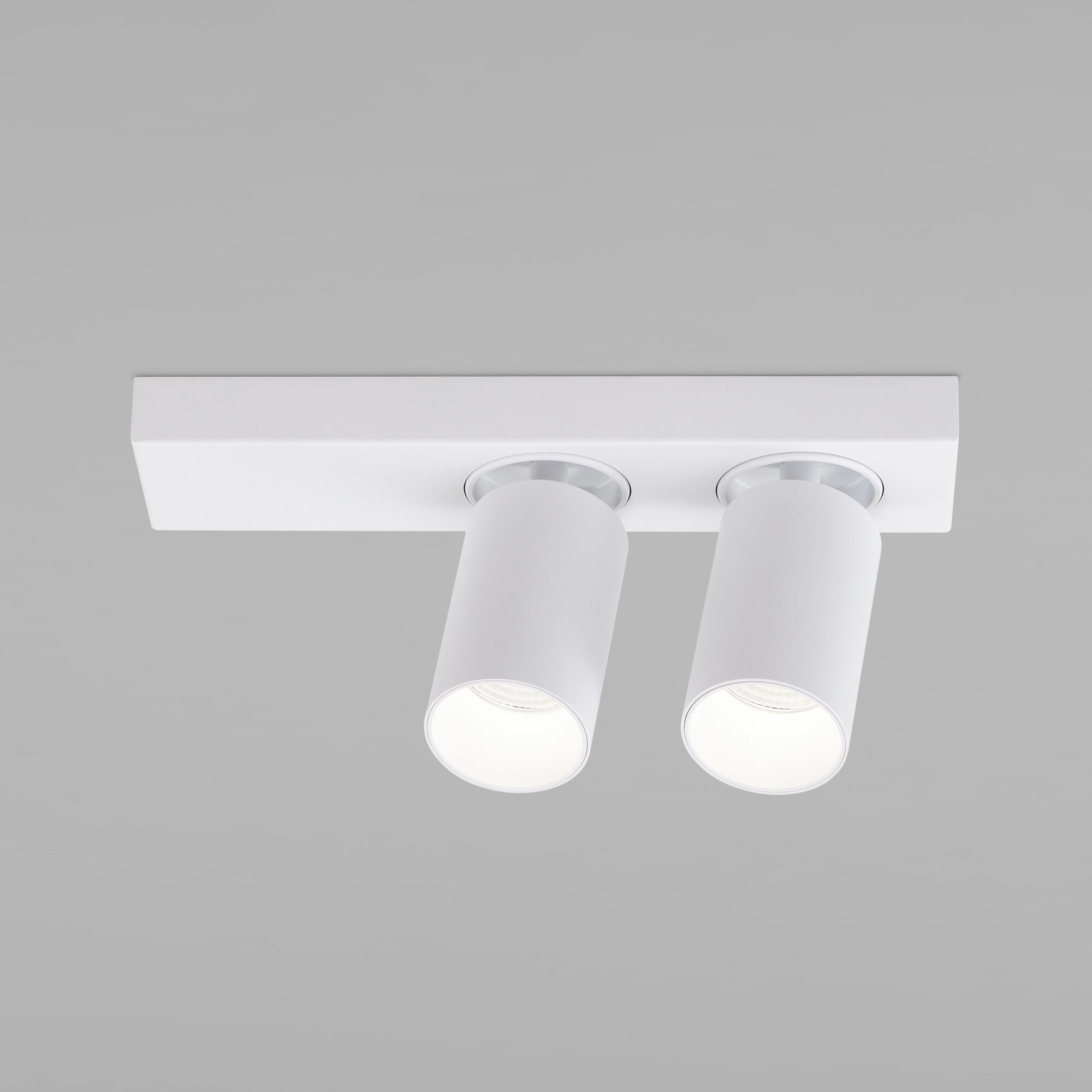 Светодиодный светильник в стиле минимализм Eurosvet Flank 20139/2 LED белый. Фото 1